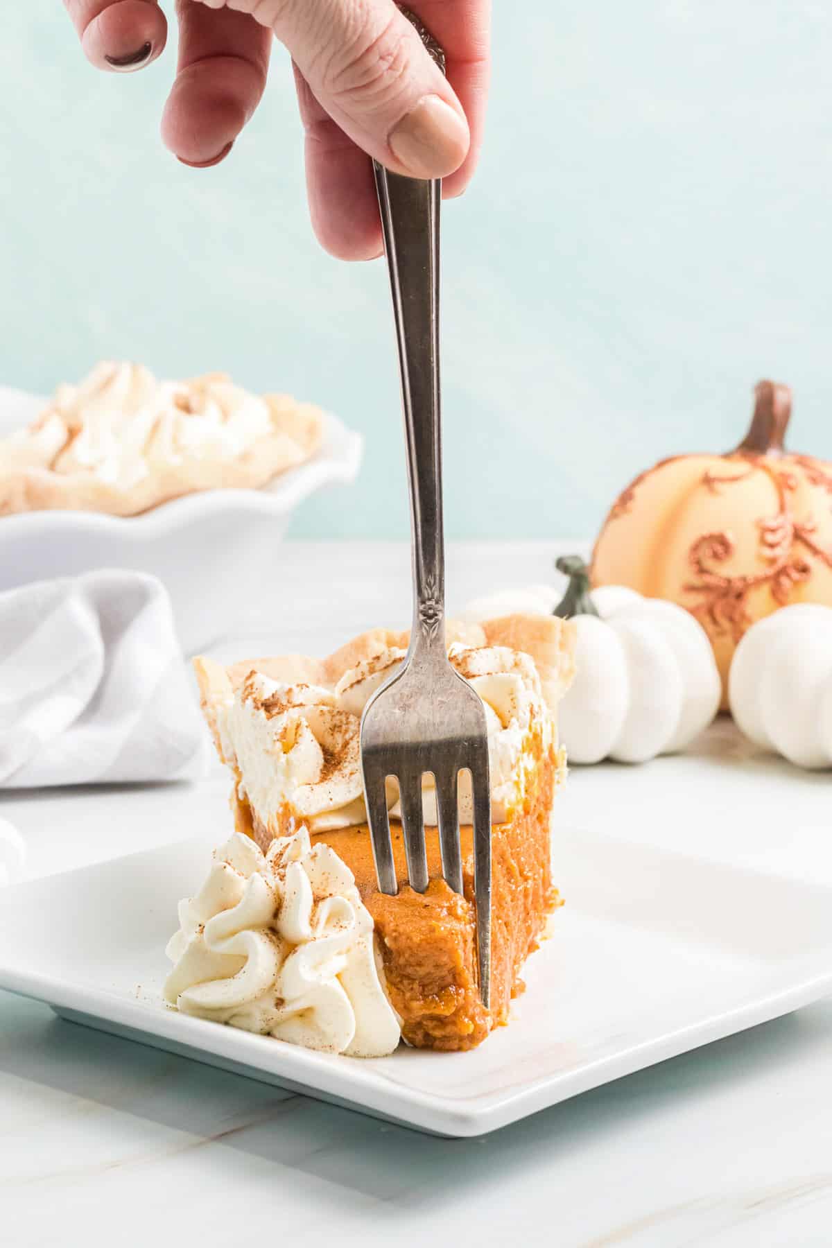 Piece of pumpkin chiffon pie on a plate being stabbed with a fork. 