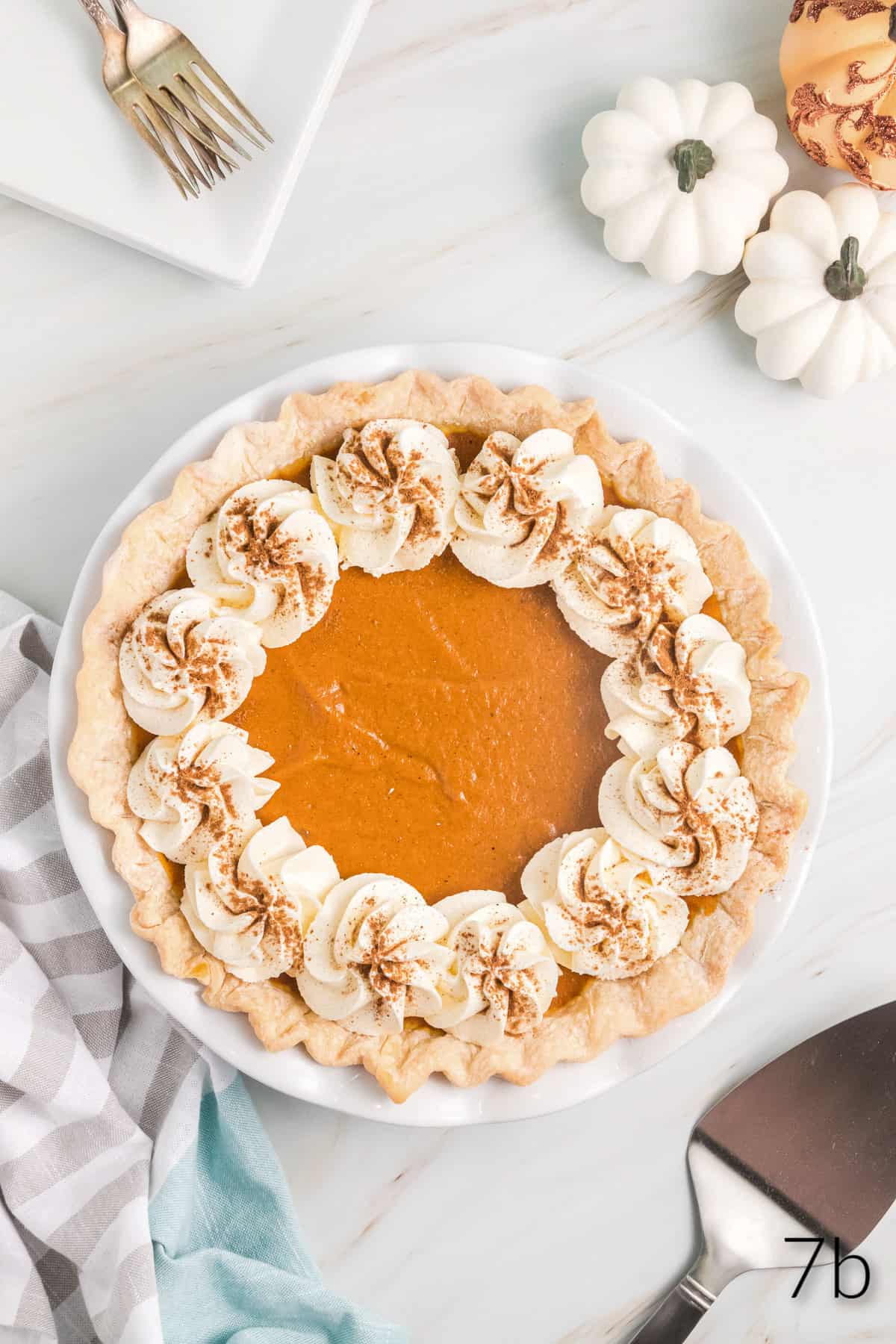 Top view of pumpkin pie with dollops of whipped cream on the outside being decorated with a cinnamon dusting. 