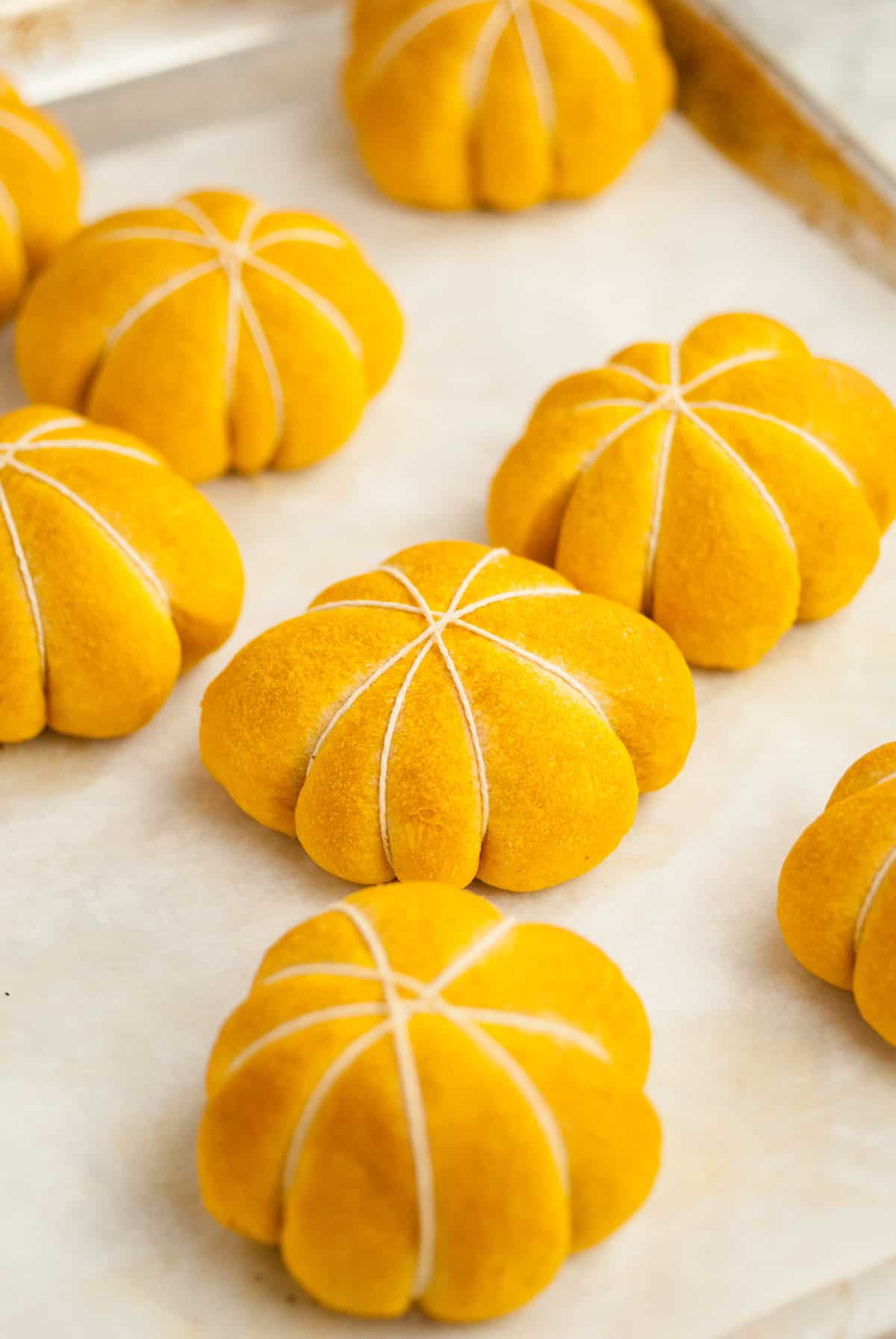 Cooked pumpkin rolls cooling on a baking sheet, still with the twine wrapped on the rolls. 