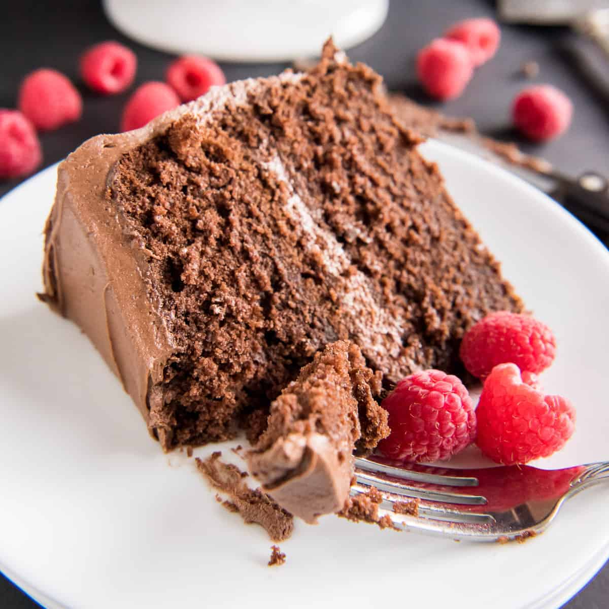 Chocolate Vanilla Sheet Cake - Two in One - Veena Azmanov