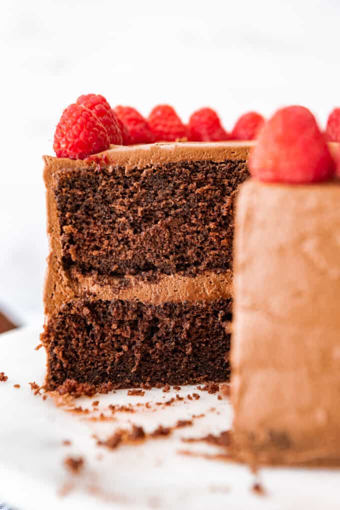 A side view of a two-layer chocolate cake with chocolate frosting and raspberries.