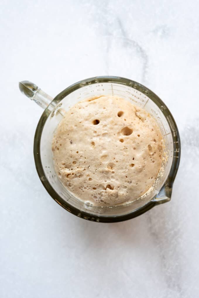 Bubbly, foamy active dry yeast that has proofed in warm water in a bowl.