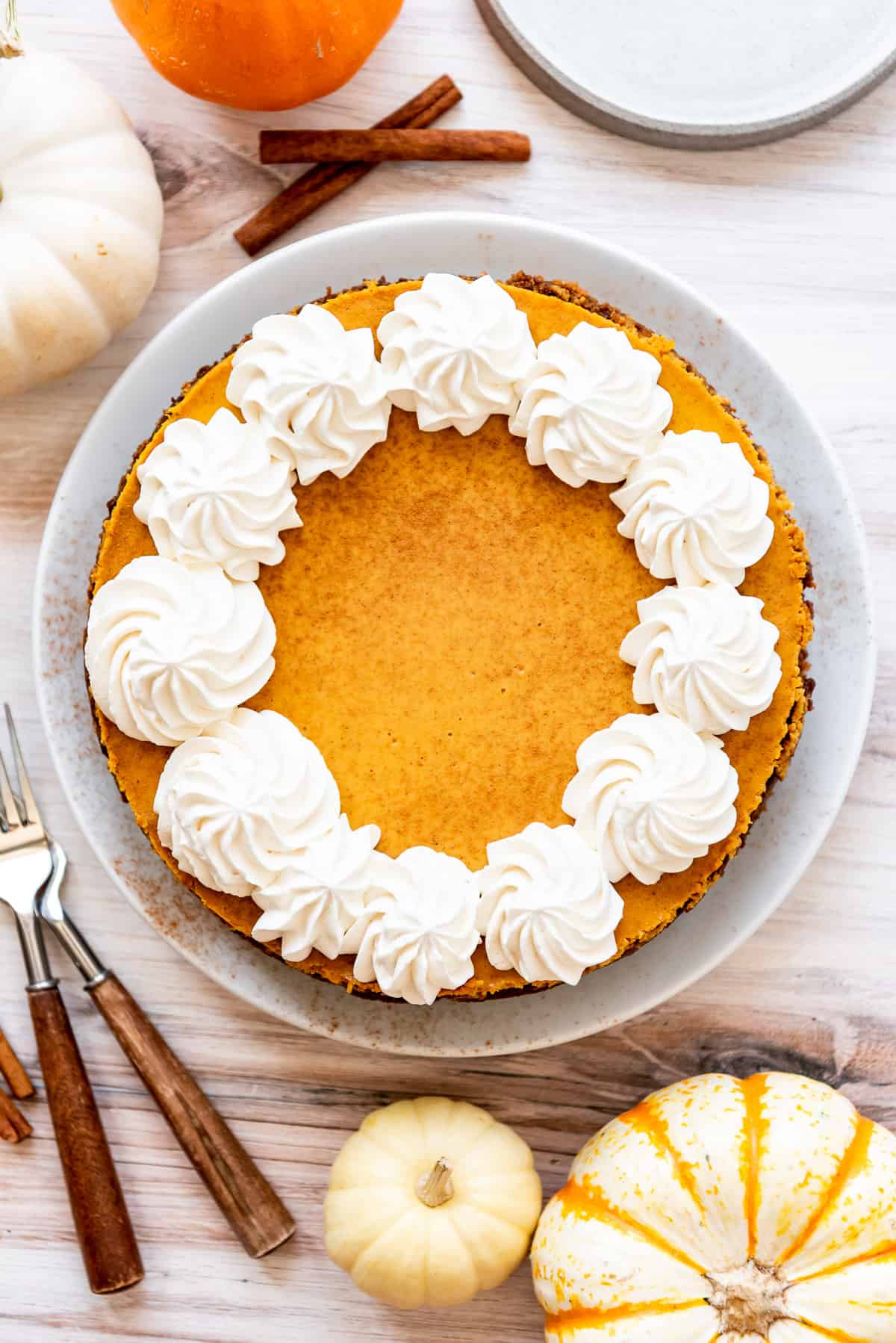 A homemade pumpkin cheesecake on a dessert plate beside small decorative pumpkins.