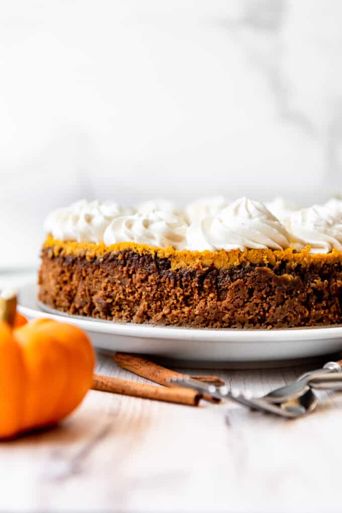 A side view of the biscoff cookie crust on a pumpkin cheesecake with whipped cream swirls on top.