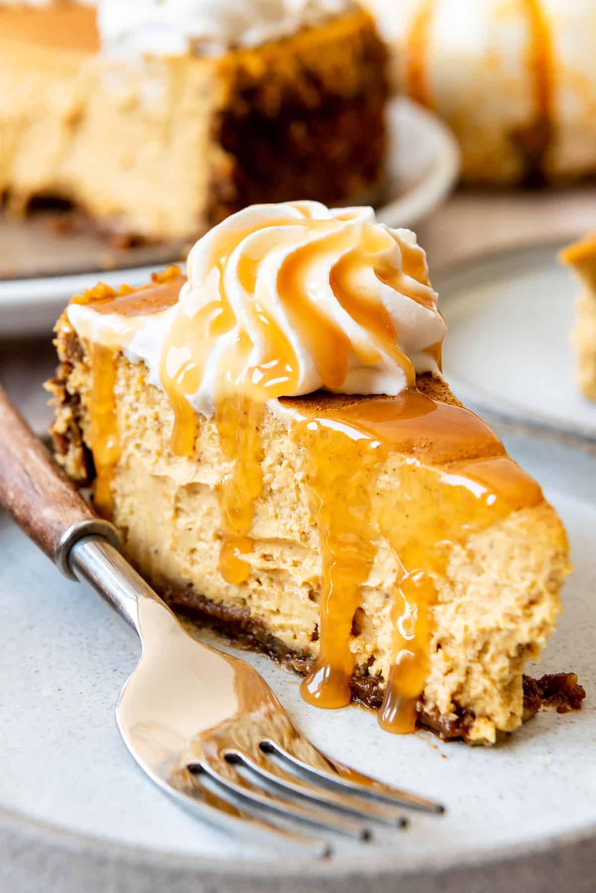 A slice of pumpkin cheesecake with whipped cream and caramel on top.