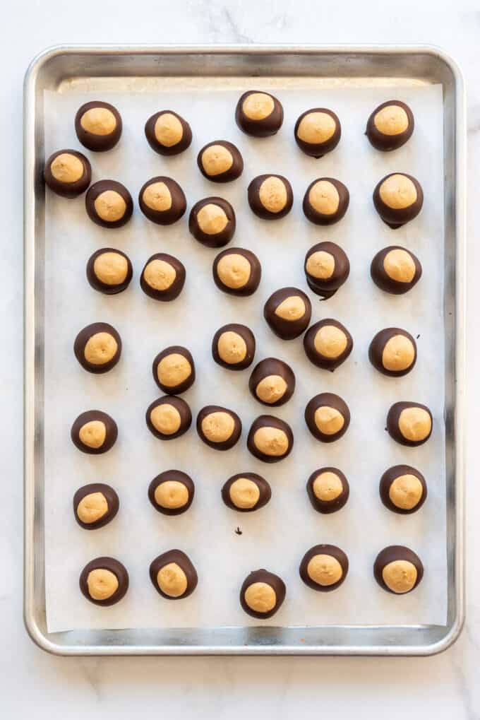 Peanut butter chocolate buckeyes on a baking sheet after the hole from the toothpick used to dip them has been smoothed out.
