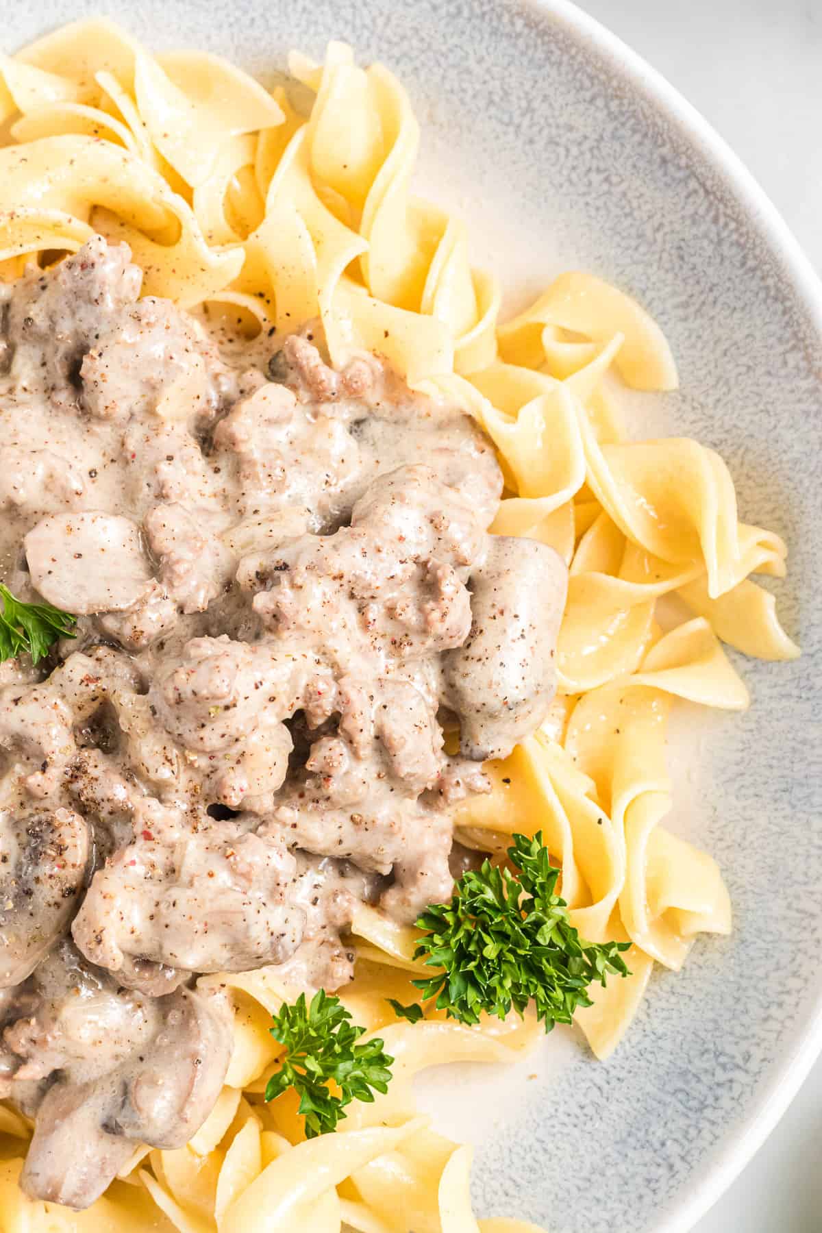 An overhead image of creamy beef stroganoff with egg noodles.