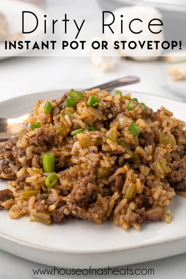 A plate of dirty rice with text overlay.