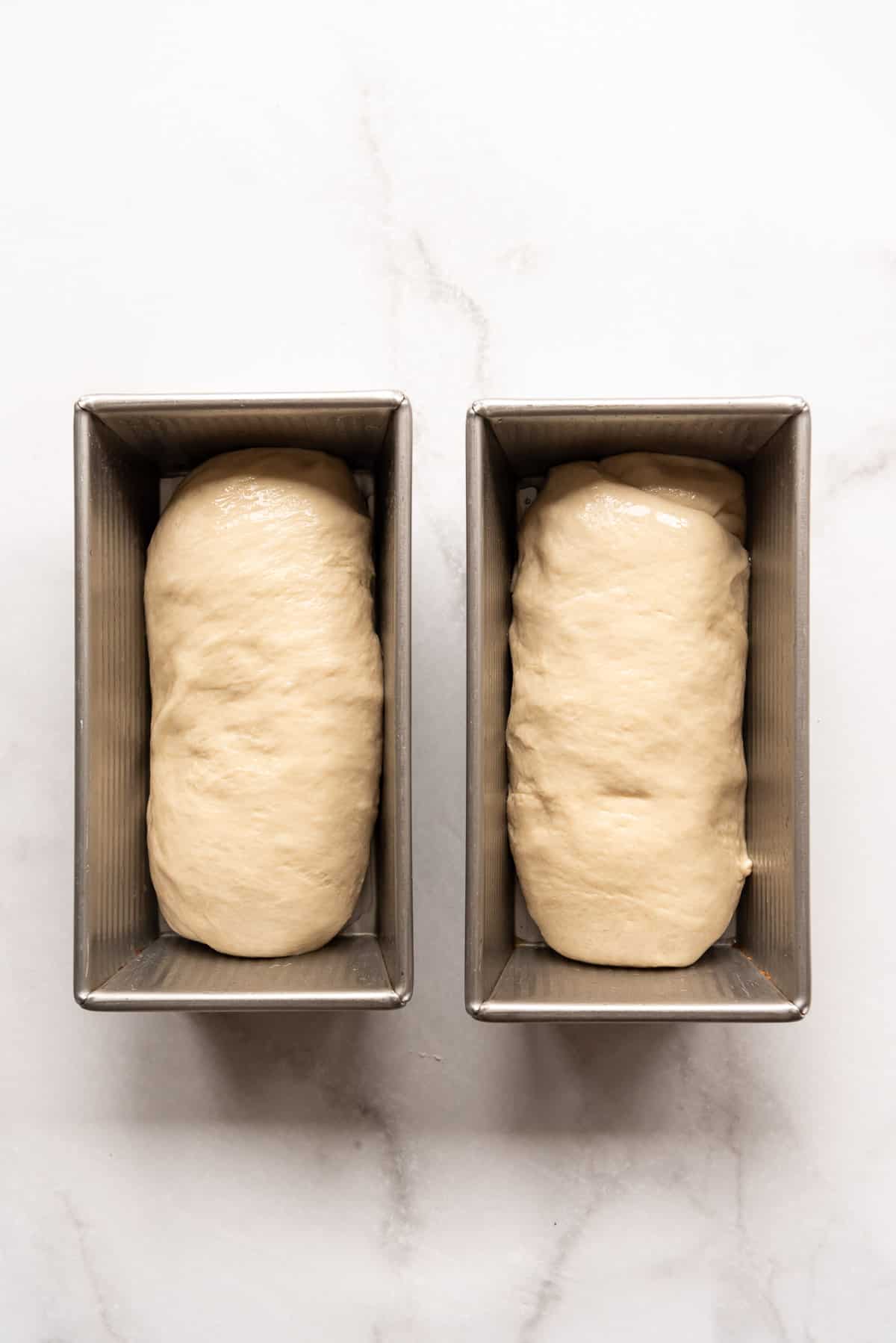 Two loaves of homemade bread dough in metal pans ready for their final rise.