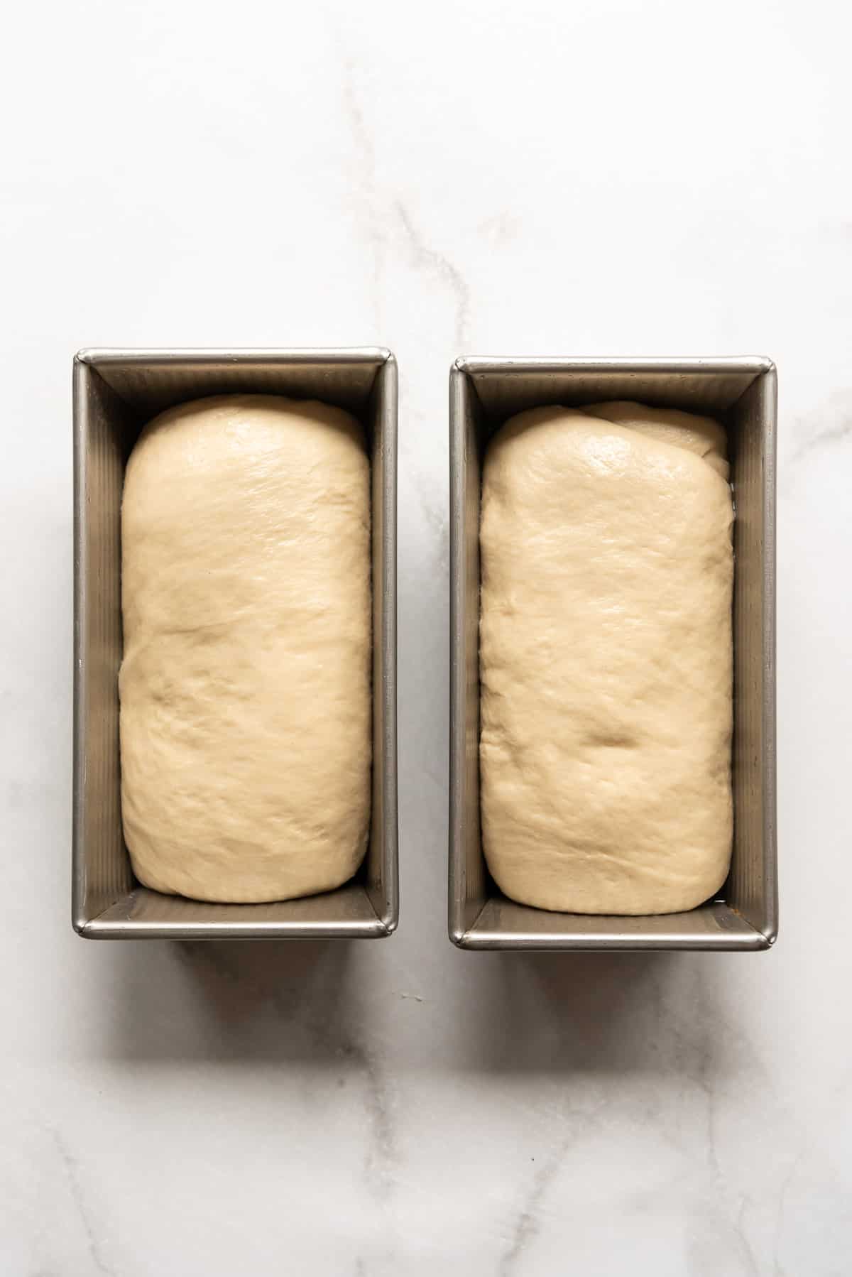 Two loaves of risen bread ready to be baked in the oven.