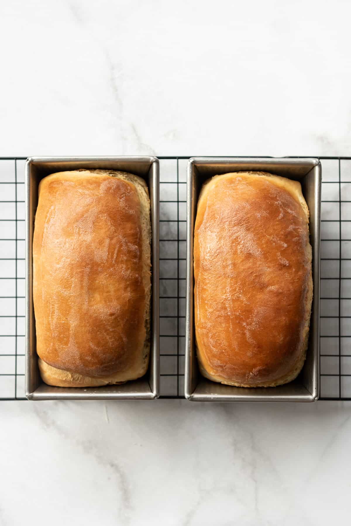 Two loaves of freshly baked homemade bread in loaf pans.