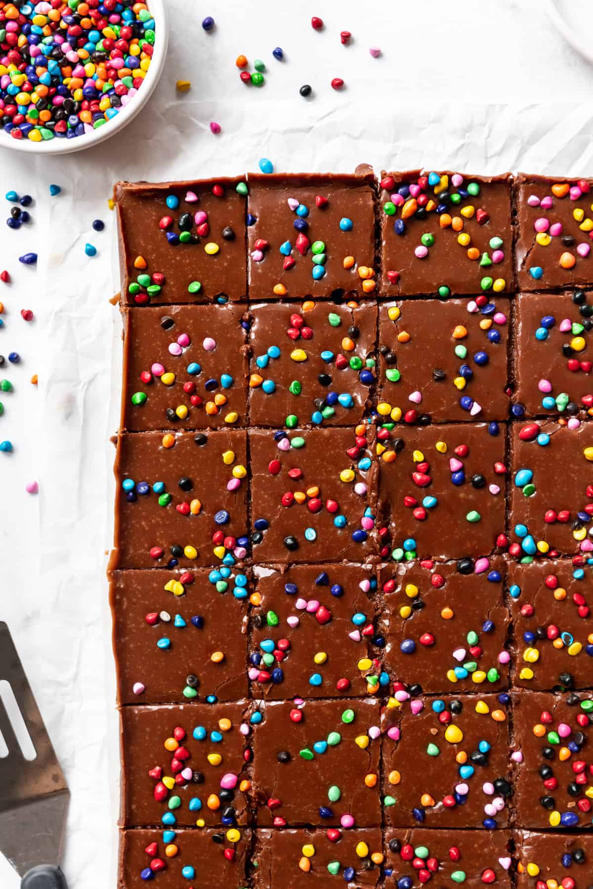 Chocolate frosted brownies cut into squares.