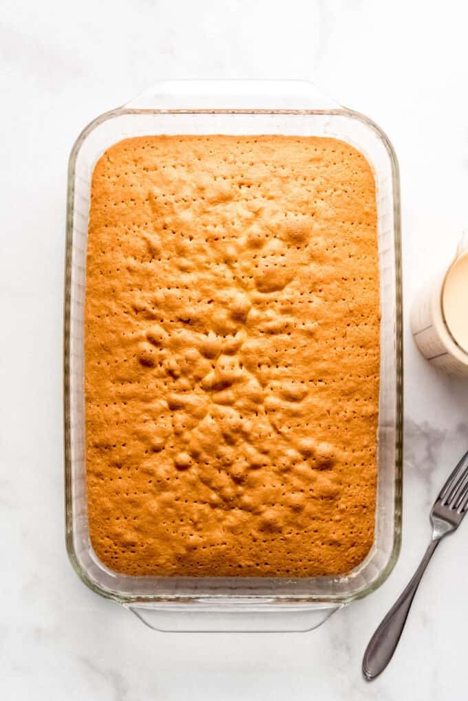 A baked white sponge cake poked all over with holes from a fork.