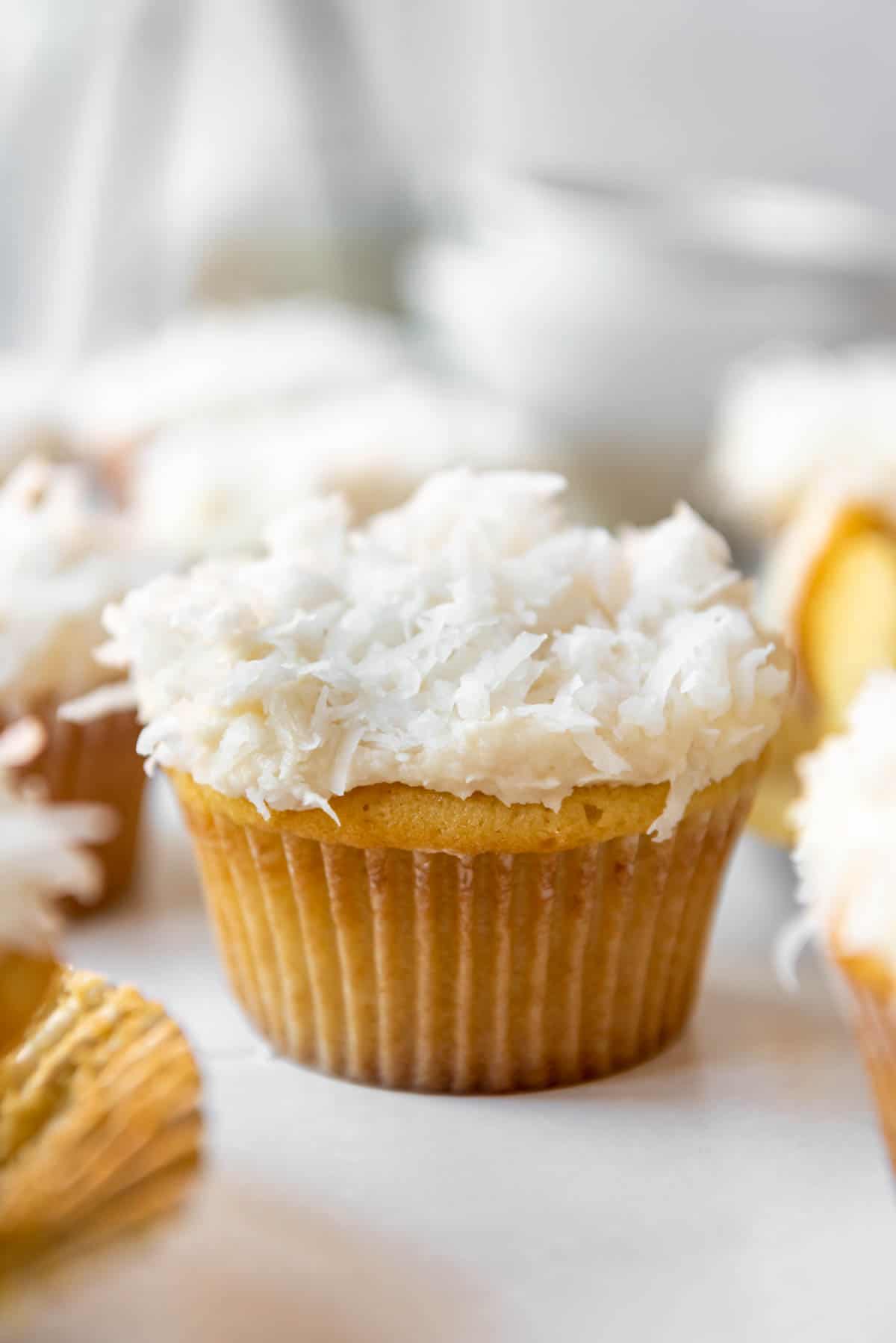 A homemade coconut cupcake with sweetened coconut on top.