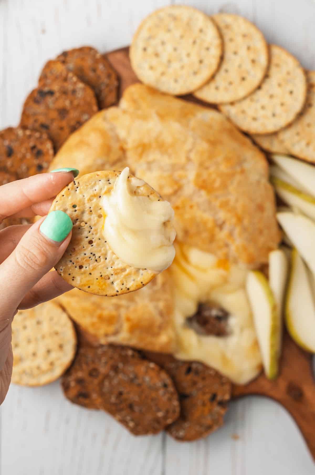 Hand holding cracker dipped into baked brie