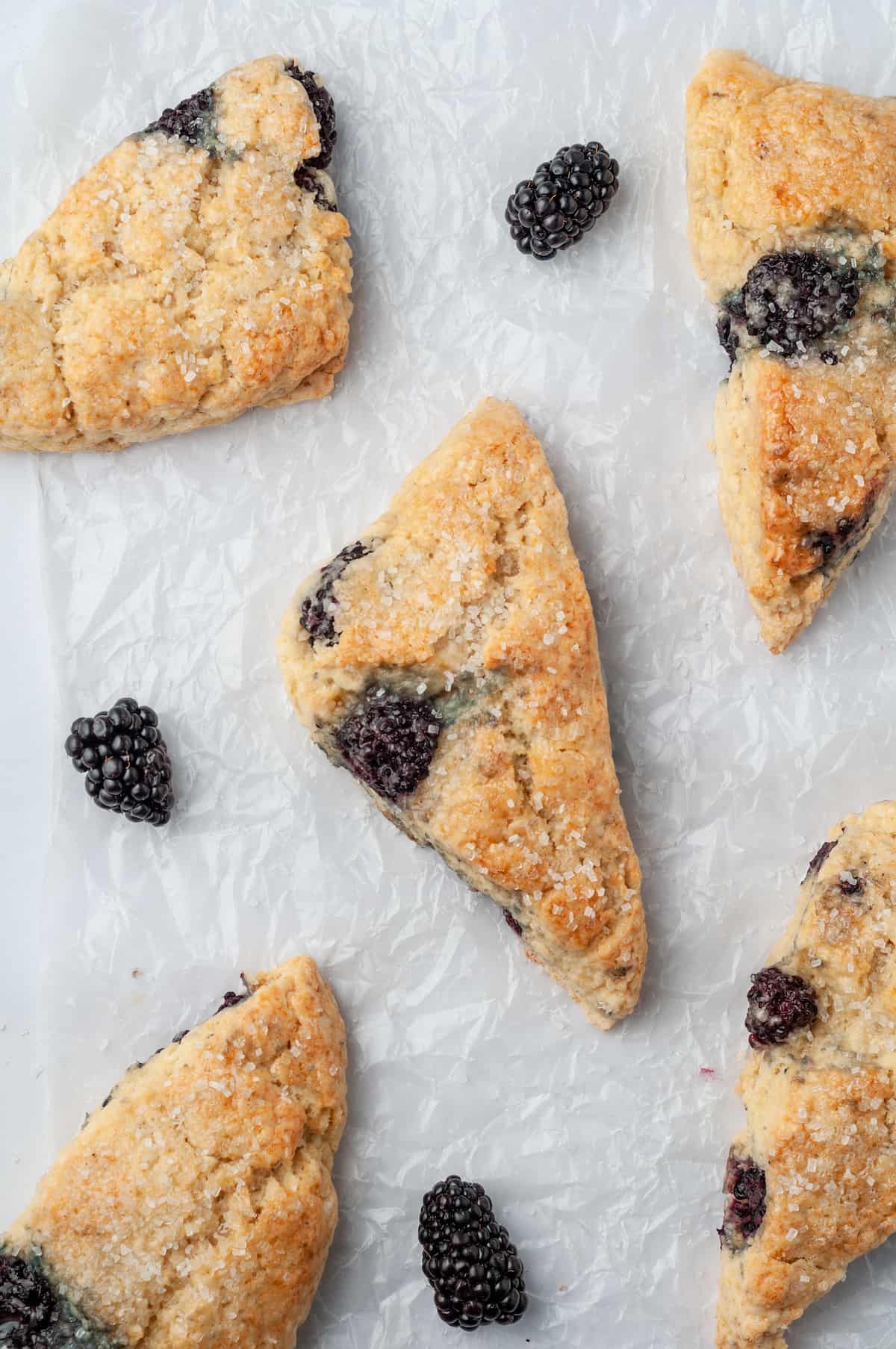 Overhead view of blackberry scones on parchment