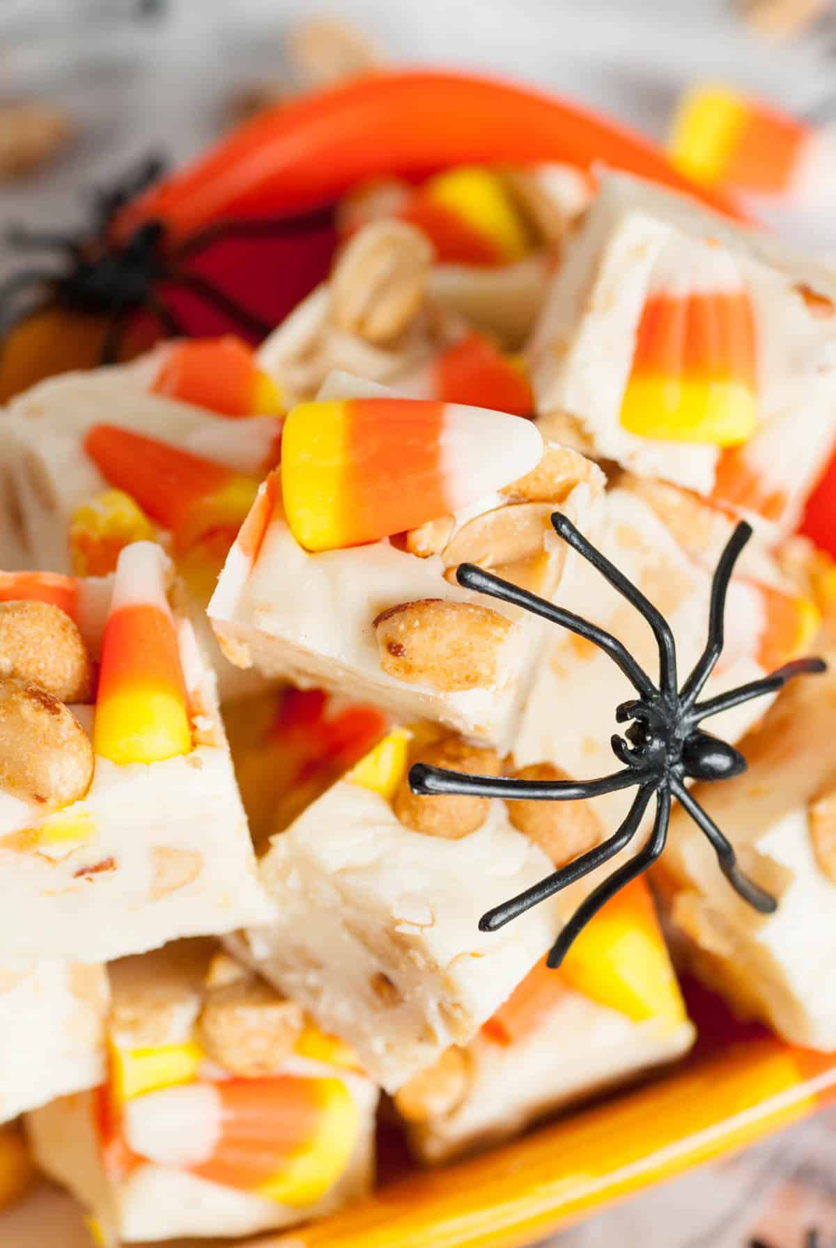 A black plastic spider crawling on pieces of halloween fudge with candy candy corn and peanuts.
