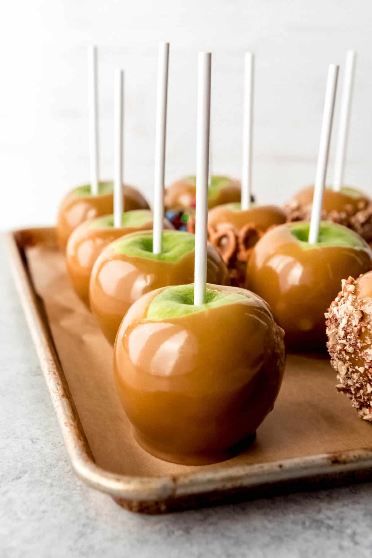 Rows of homemade caramel apples on a baking sheet lined with parchment paper.