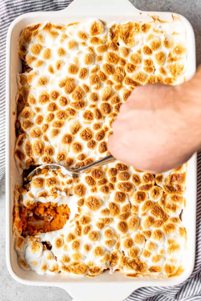 An image of a hand holding a serving spoon to scoop out a portion of mashed sweet potato casserole with pecan praline topping and toasted marshmallows.
