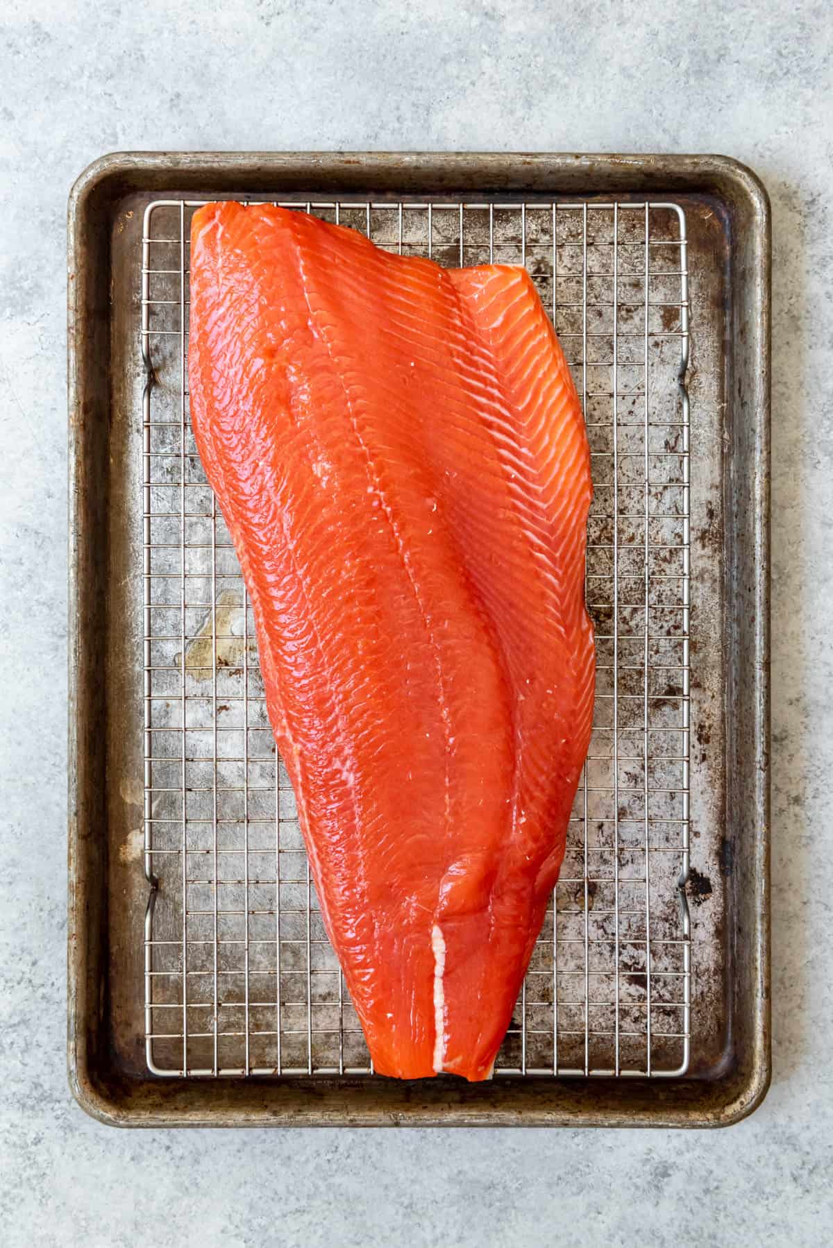 An image of brined salmon that is drying out to form a pellicle on top before being smoked.