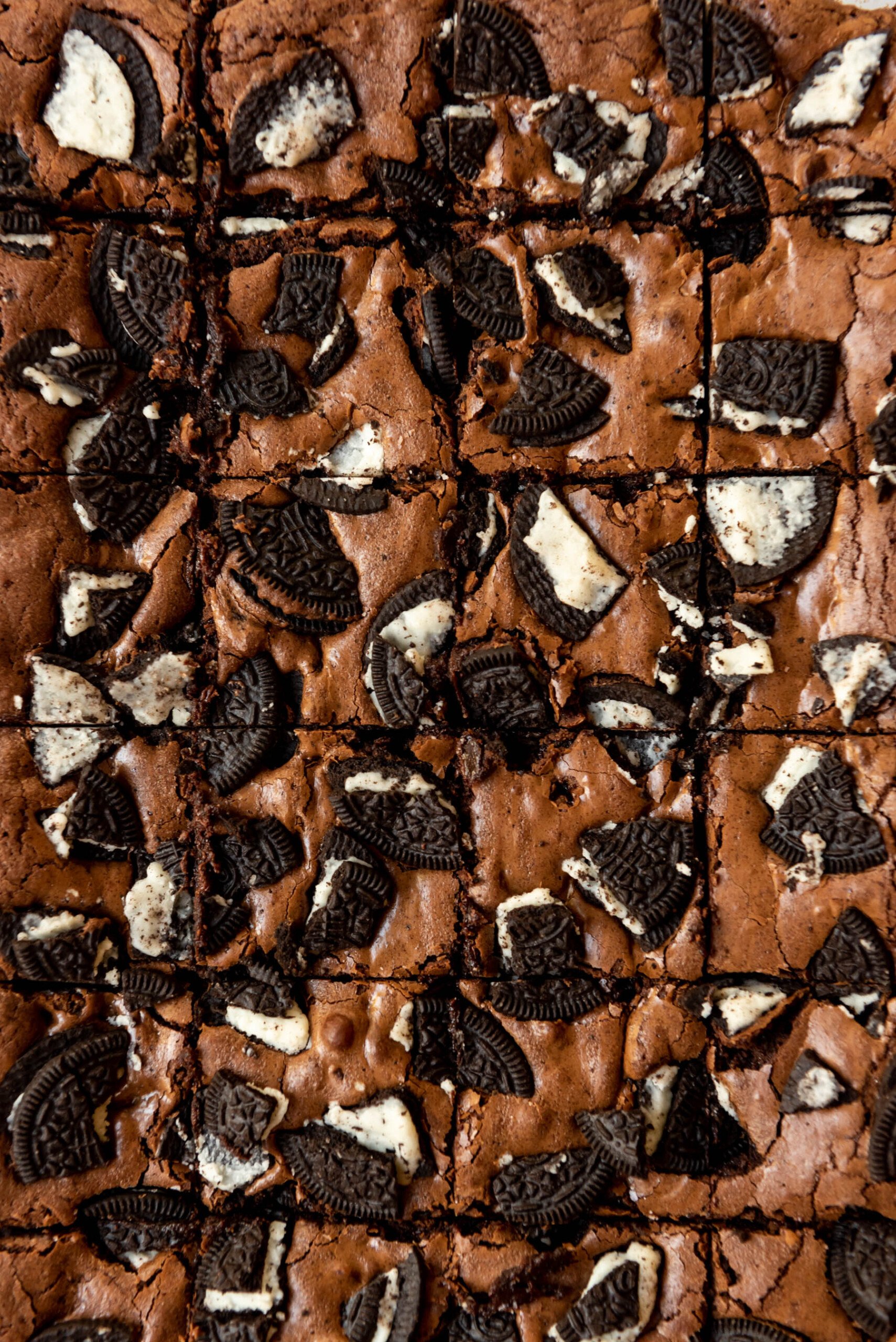 A close image of Oreo brownies that have been cut into squares.