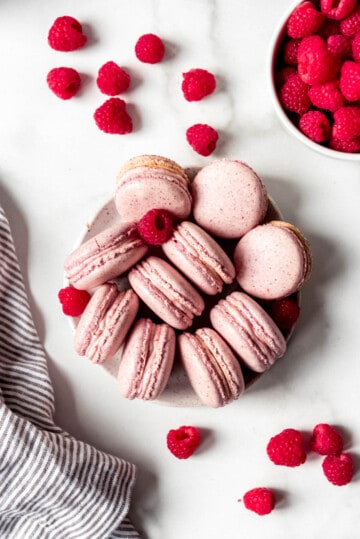 Raspberry Macarons - House of Nash Eats