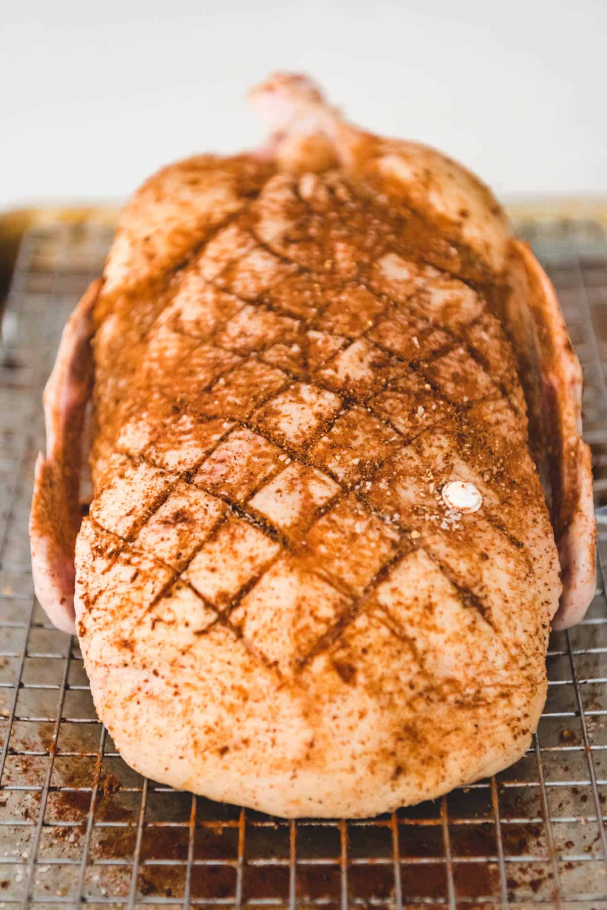 An image of a scored duck breast on a whole duck, rubbed with a spice rub for roasting in the oven.