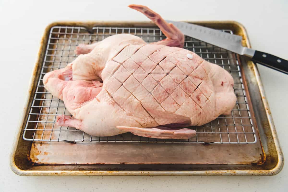 An image of a whole duck with the skin scored in preparation for roasting it in the oven.