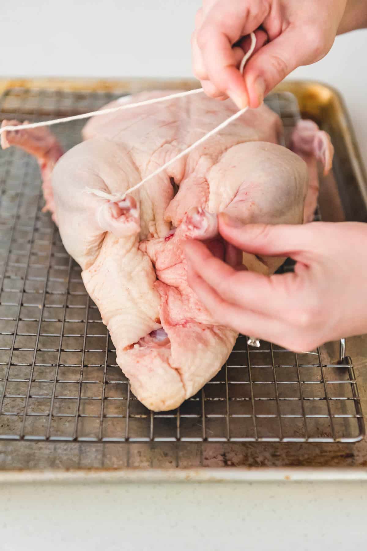 An image showing a whole duck being trussed for roasting in the oven.