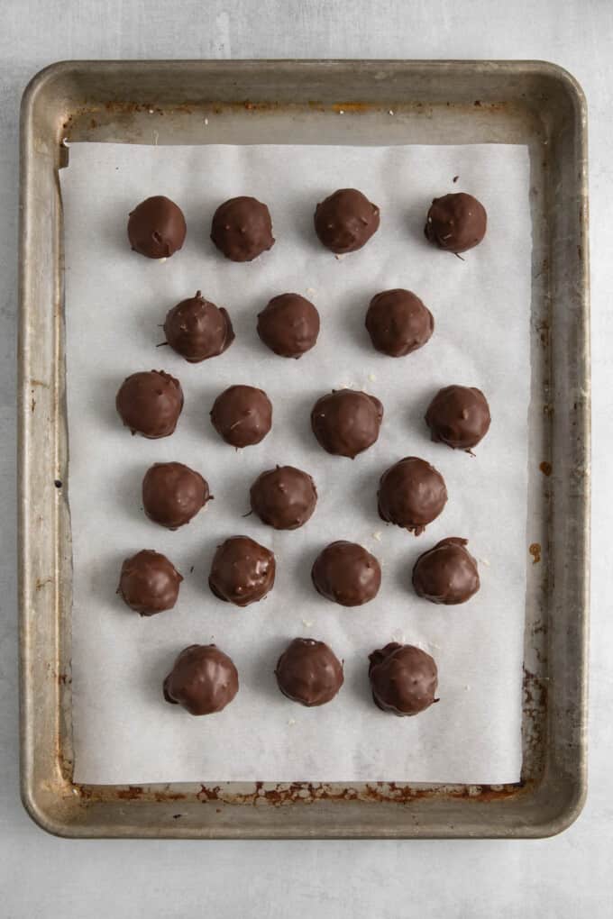 An image of coconut balls that have been dipped in chocolate.
