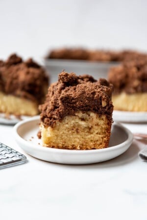 A slice of chocolate pecan crumb cake on a white plate.