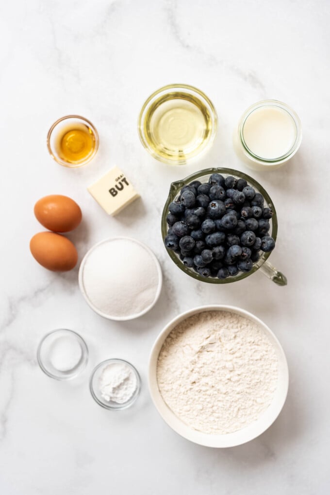 Blueberry Muffins with Crumb Topping - House of Nash Eats