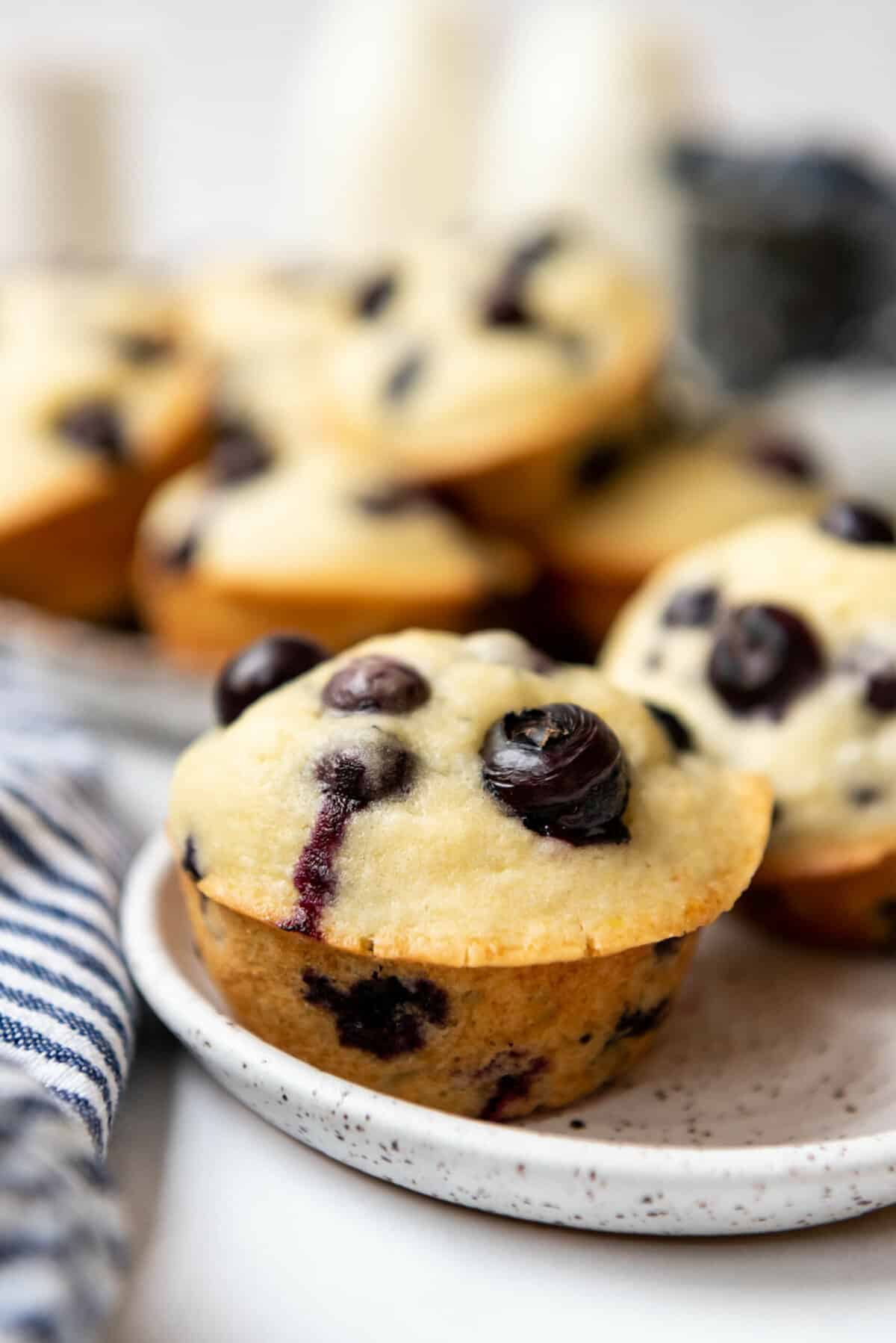 A blueberry muffin on a plate with more muffins behind it.