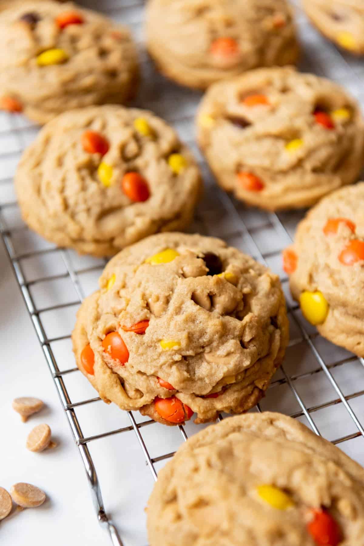 A close image of thick peanut butter cookies with Reese's Pieces.