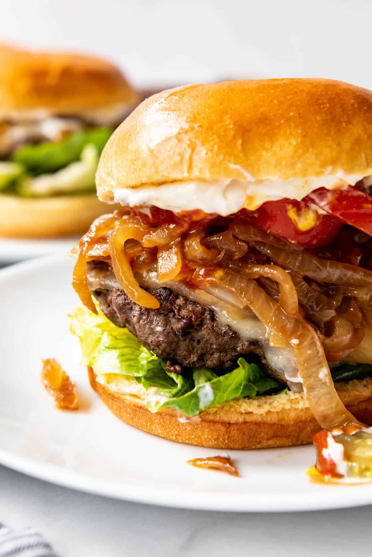 A close image of a juicy bison burger with caramelized onions.