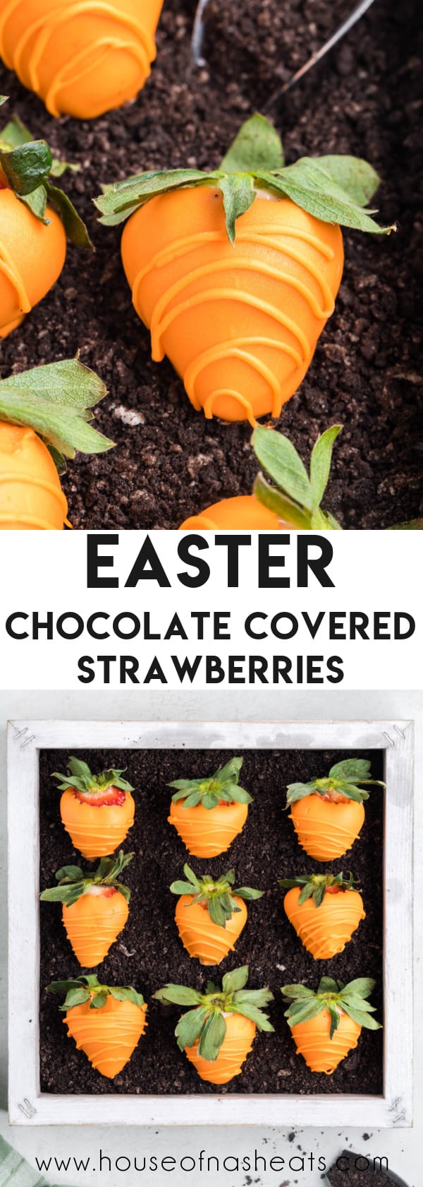 A collage of images of chocolate covered strawberry carrots with text overlay.