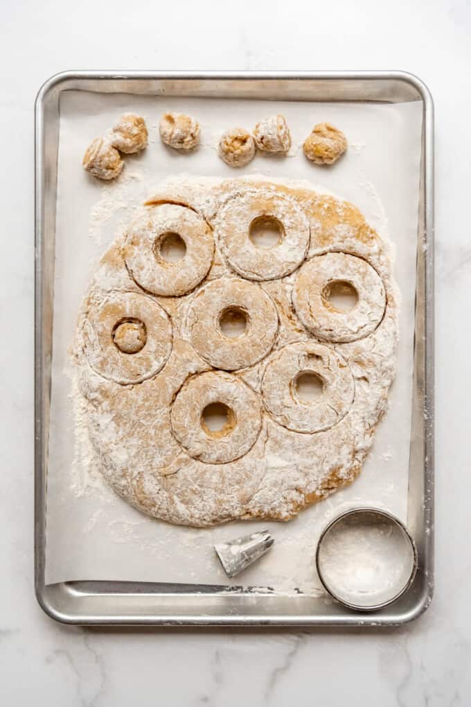 Apple cider donut dough cut out into donut shapes with the donut holes set to the side.