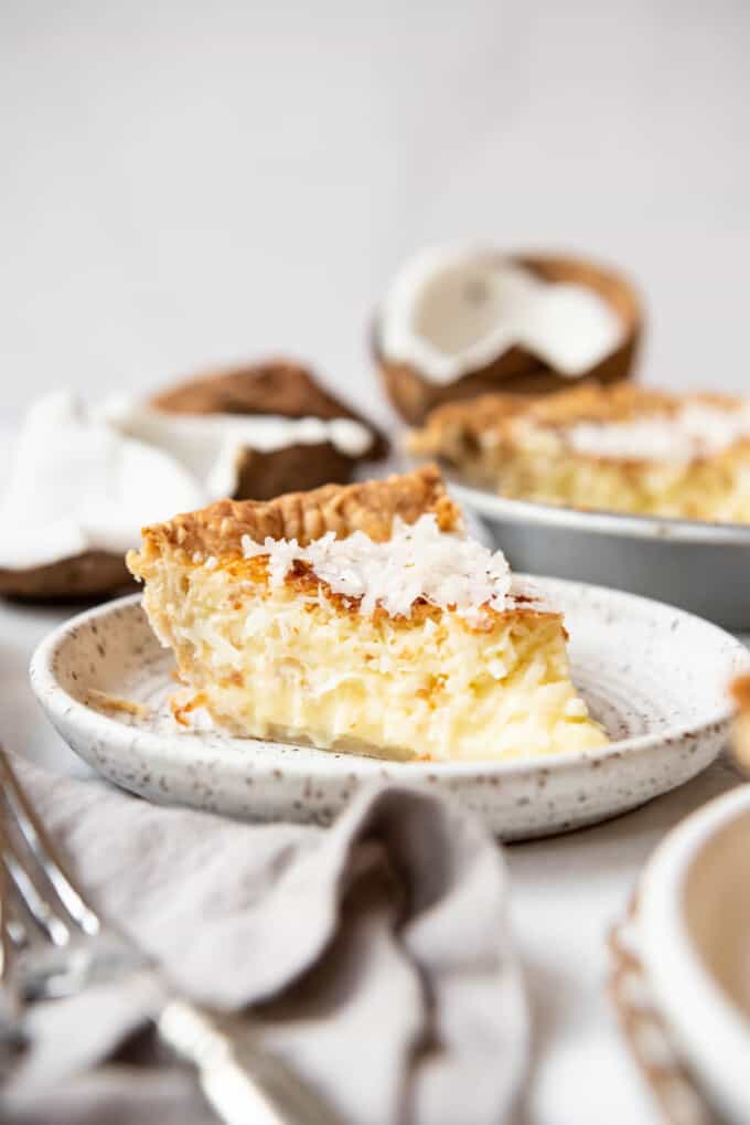 Easy Coconut Custard Pie Recipe House of Nash Eats