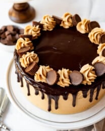 Chocolate Peanut Butter Cake with swirls of peanut butter frosting and mini peanut butter cups on top of chocolate ganache.