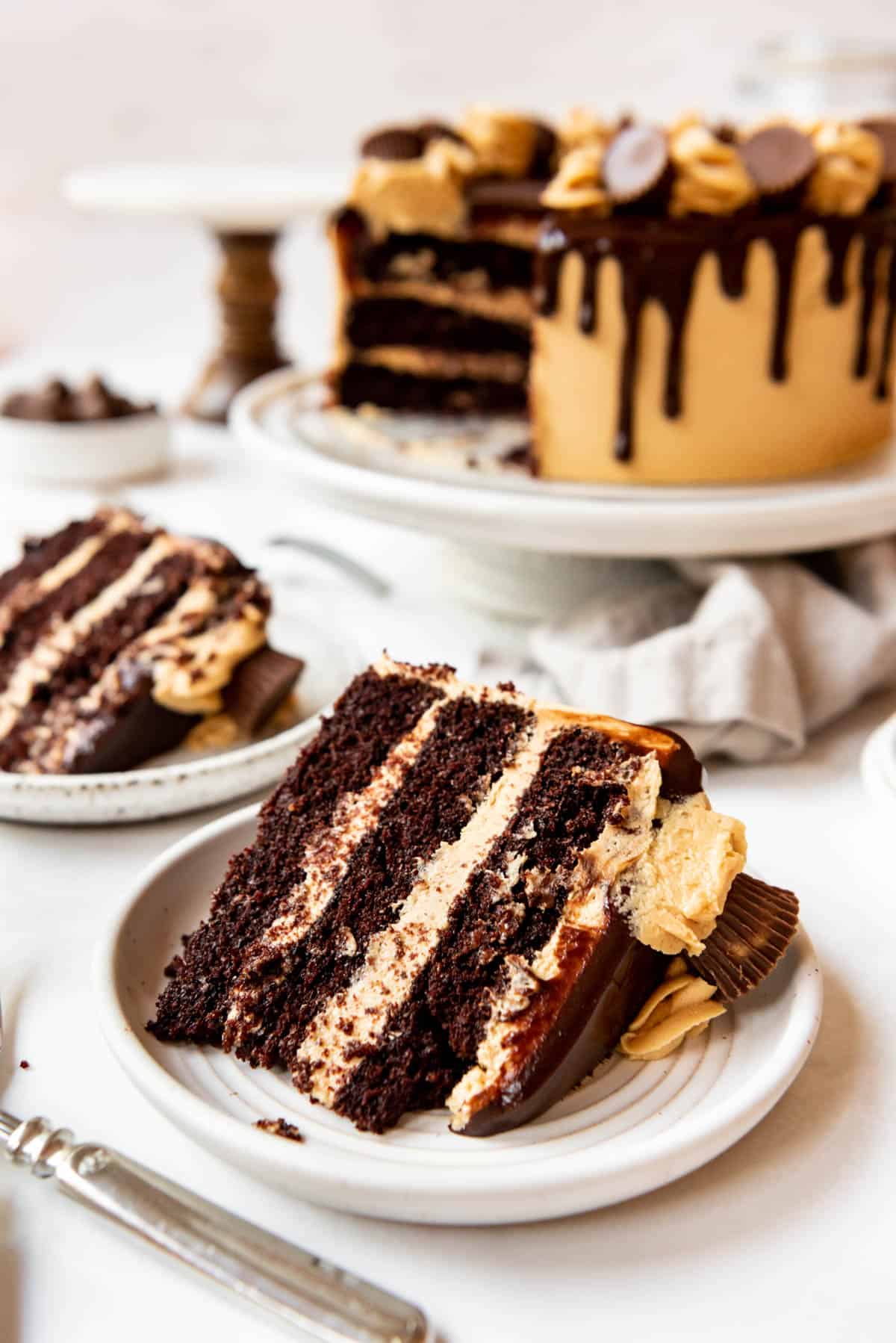 Close up of a slice of chocolate peanut butter cake on a white plate with the rest of the cake in the background.