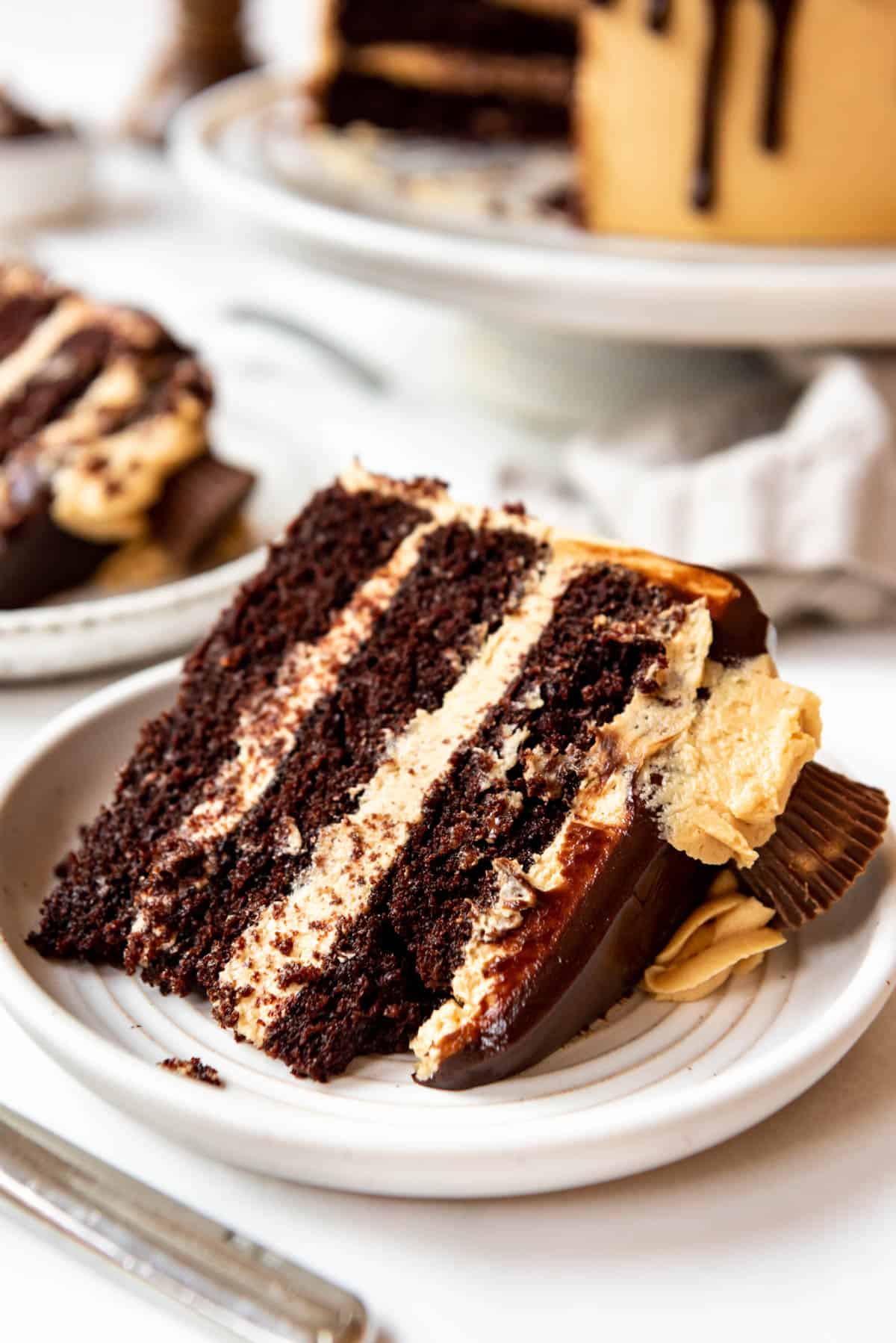 Close up of a slice of chocolate peanut butter cake on a white plate.