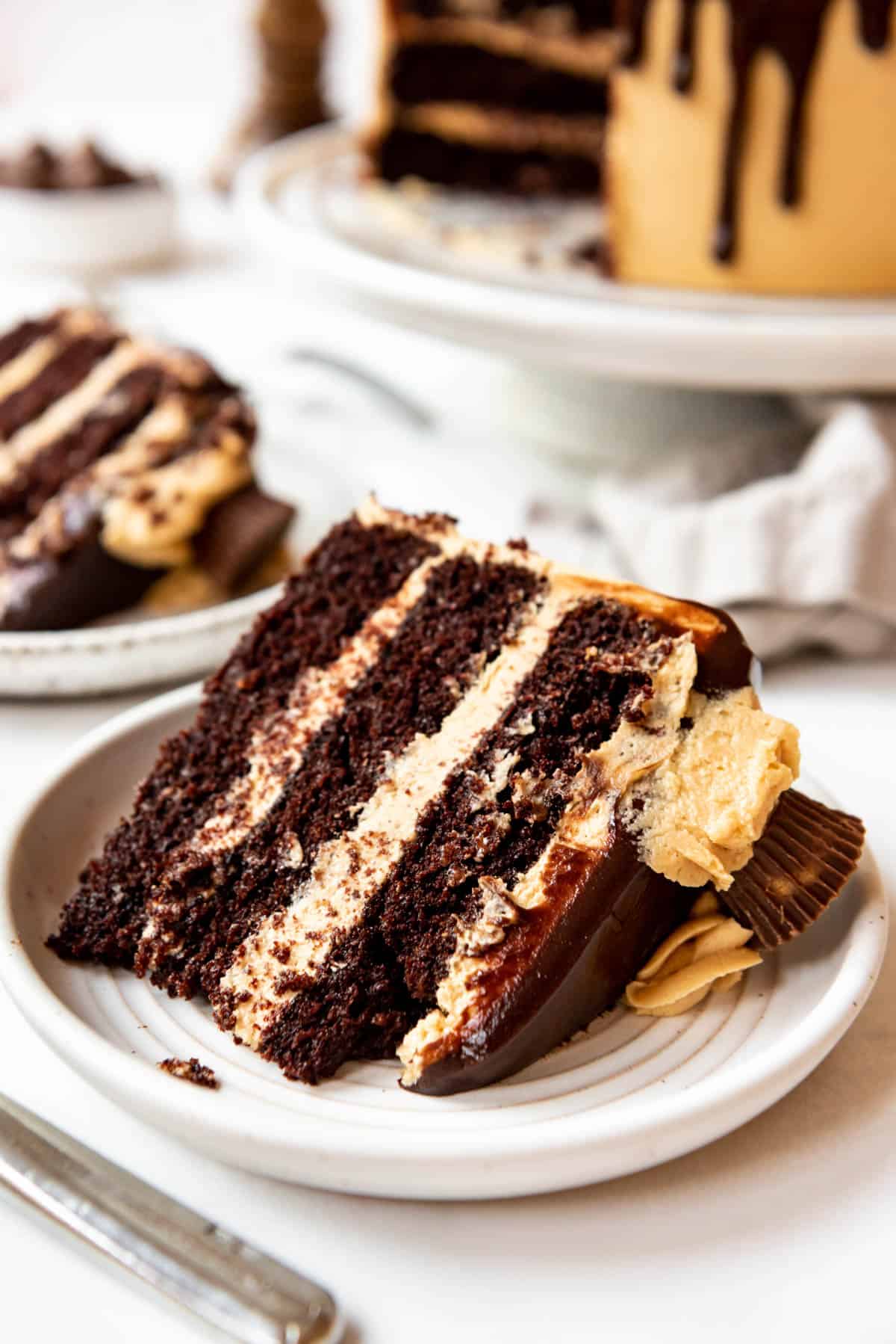 Close up of a slice of chocolate peanut butter cake on a white plate.