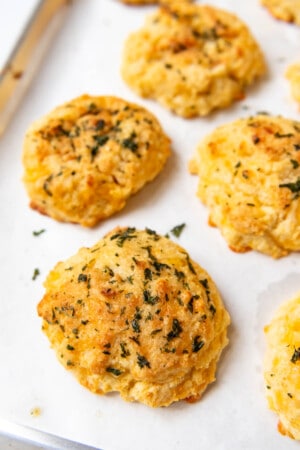 Easy Cheddar Bay Biscuits (Red Lobster Copycat) - House of Nash Eats