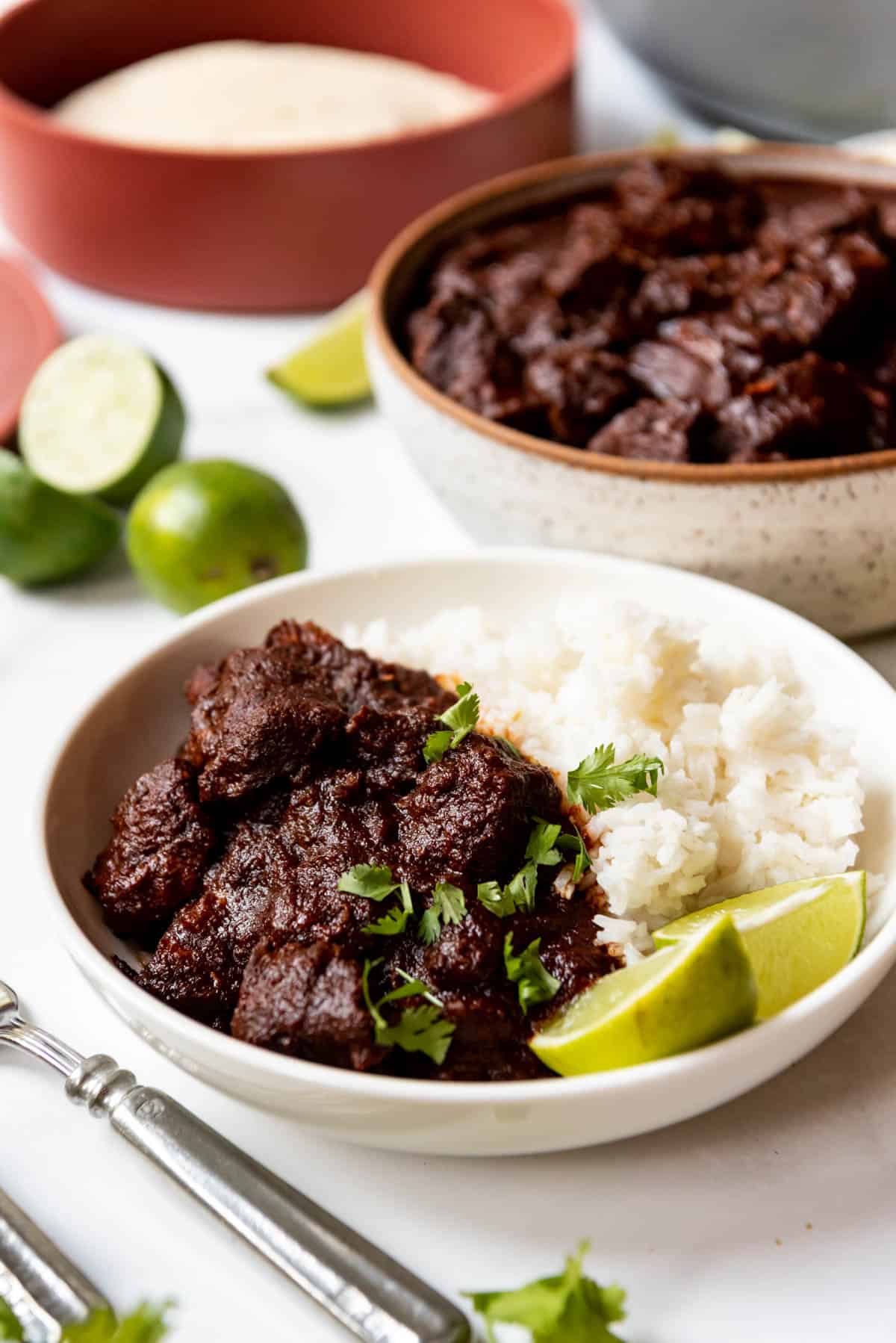 Close up of a plate with Carne Adocado, white rice, and slices of lime on it.