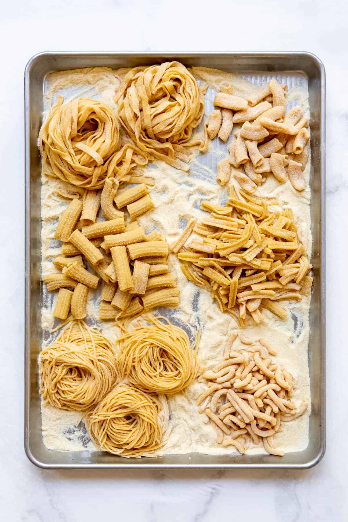 An overhead image of six different fresh pasta shapes including fettuccine, large macaroni, rigatoni, fusili, spaghetti, and small macaroni.