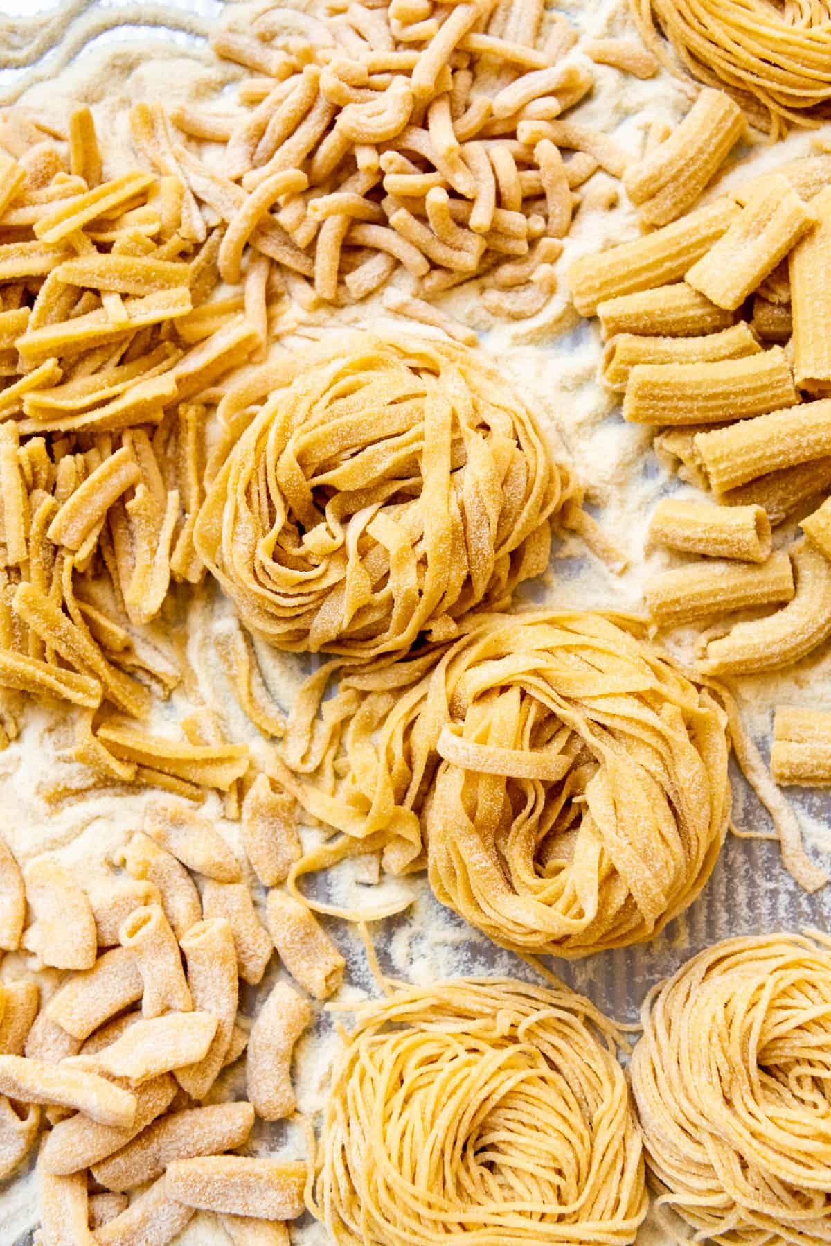 Different types of fresh homemade pasta around nests of fresh fettuccine pasta noodles.