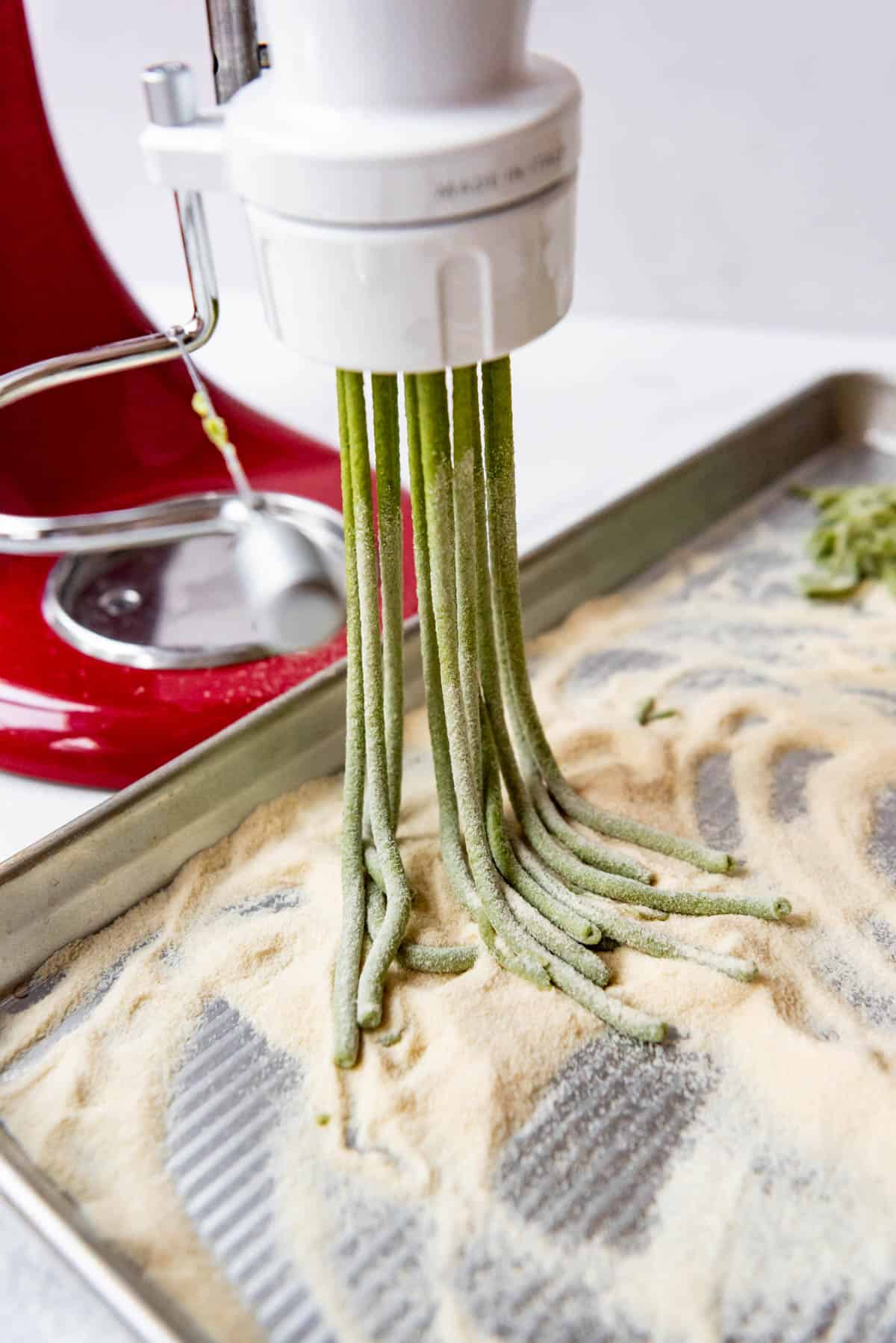 Spinach pasta being extruded into a bucatini shape.