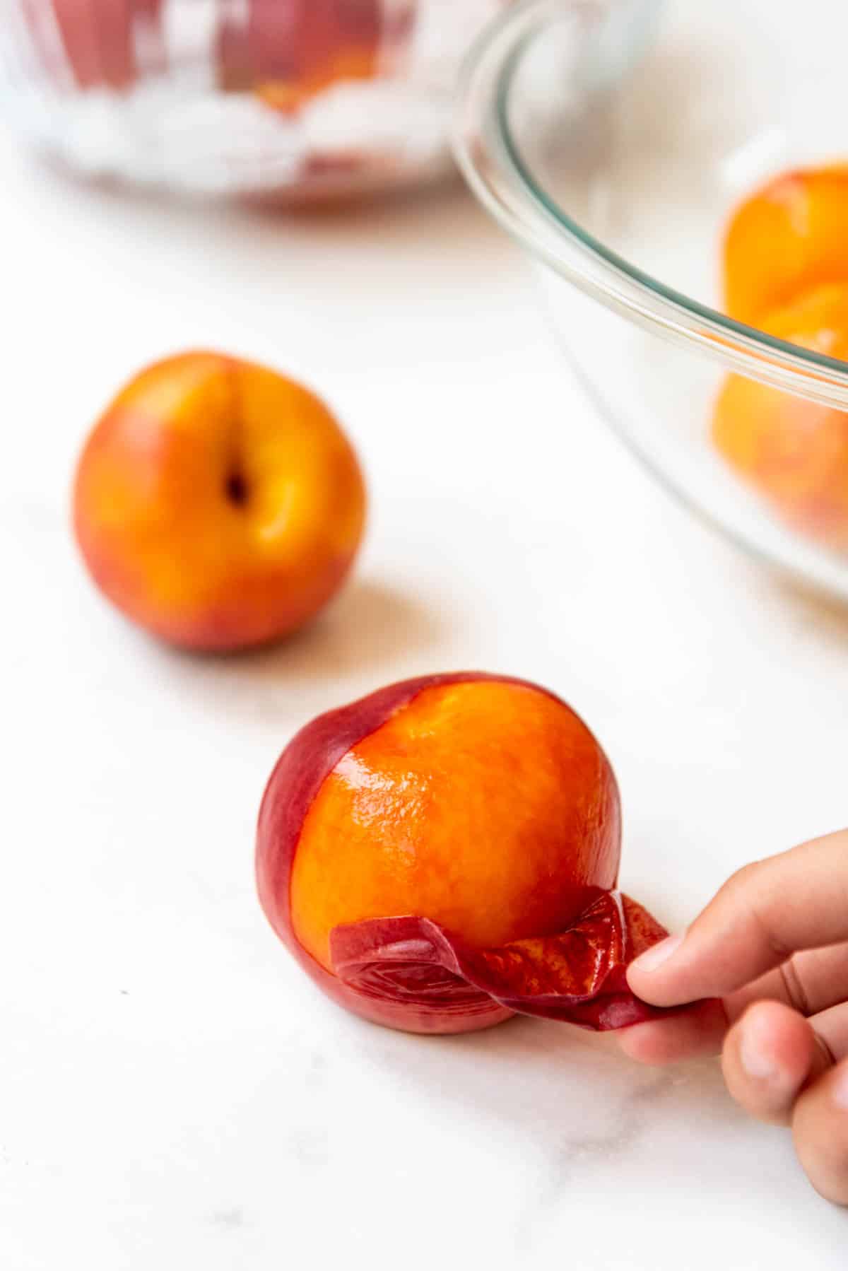 A hand showing the easy way to peel peaches after boiling them for 30 seconds, then placing them in an ice water bath.