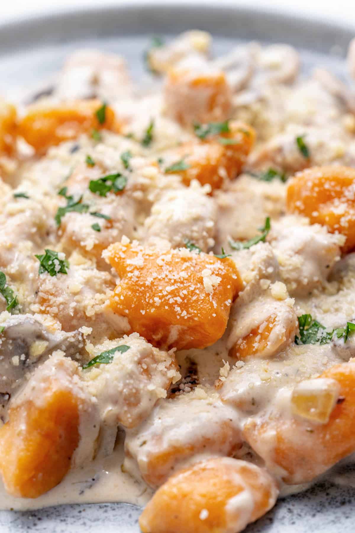 Homemade sweet potato gnocchi with a creamy mushroom sauce.