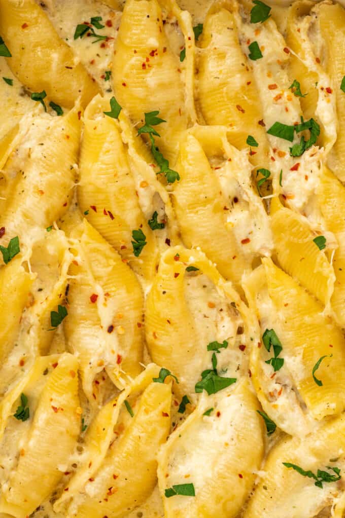 A close image of chicken stuffed shells with mozzarella cheese melted on top.